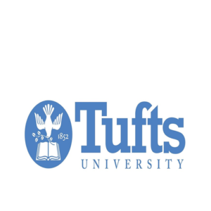 Mentoru Home Page web university 090424 6