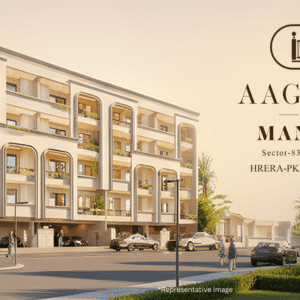 representative image 4 1